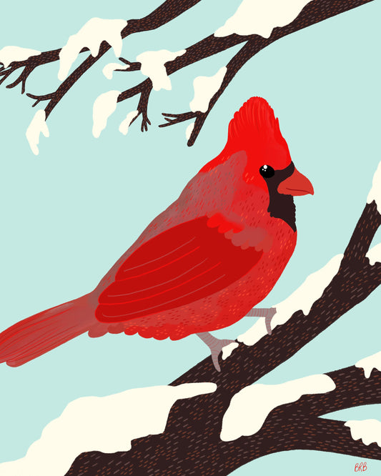 Winter Cardinal Art Print