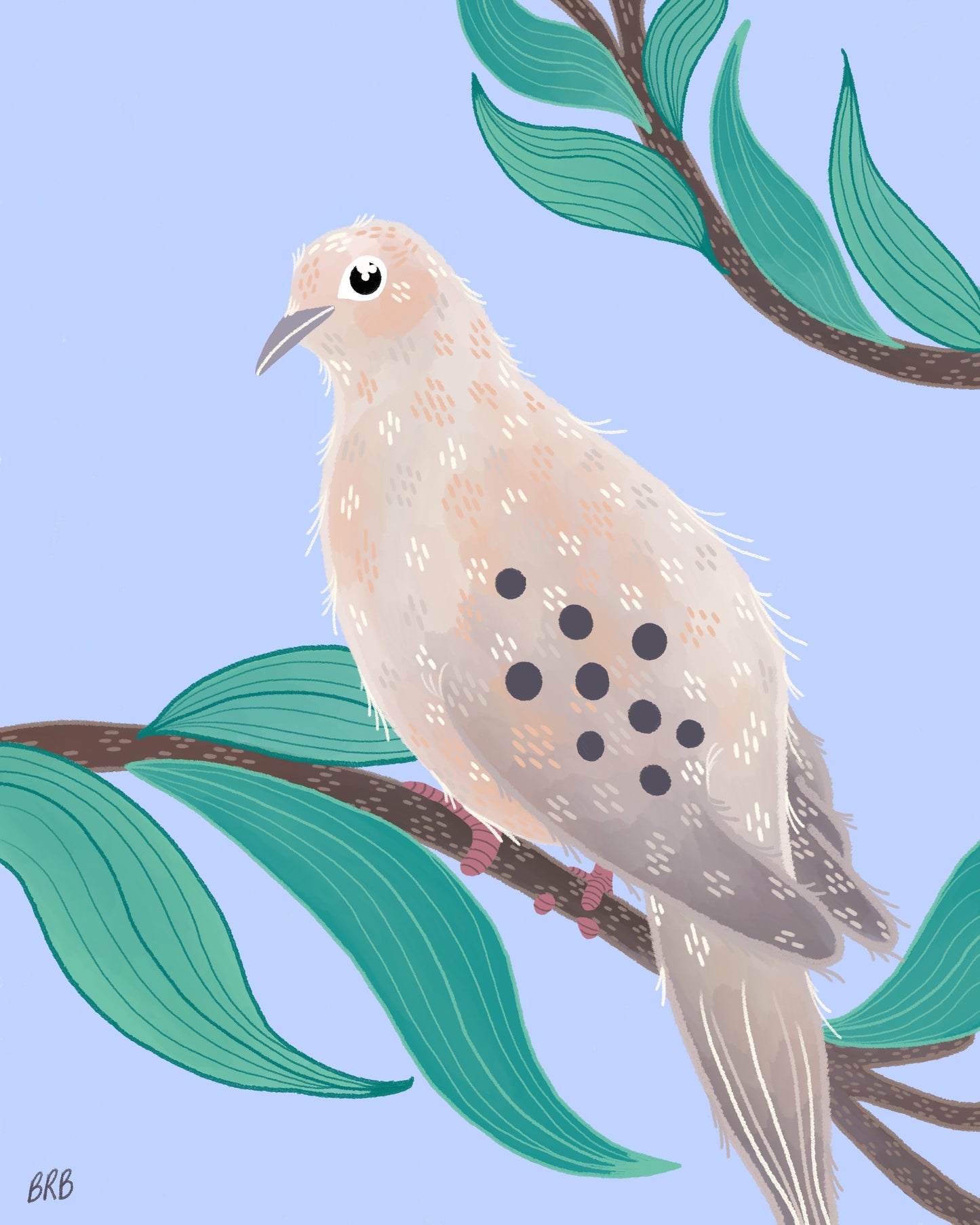 Mourning Dove Art Print