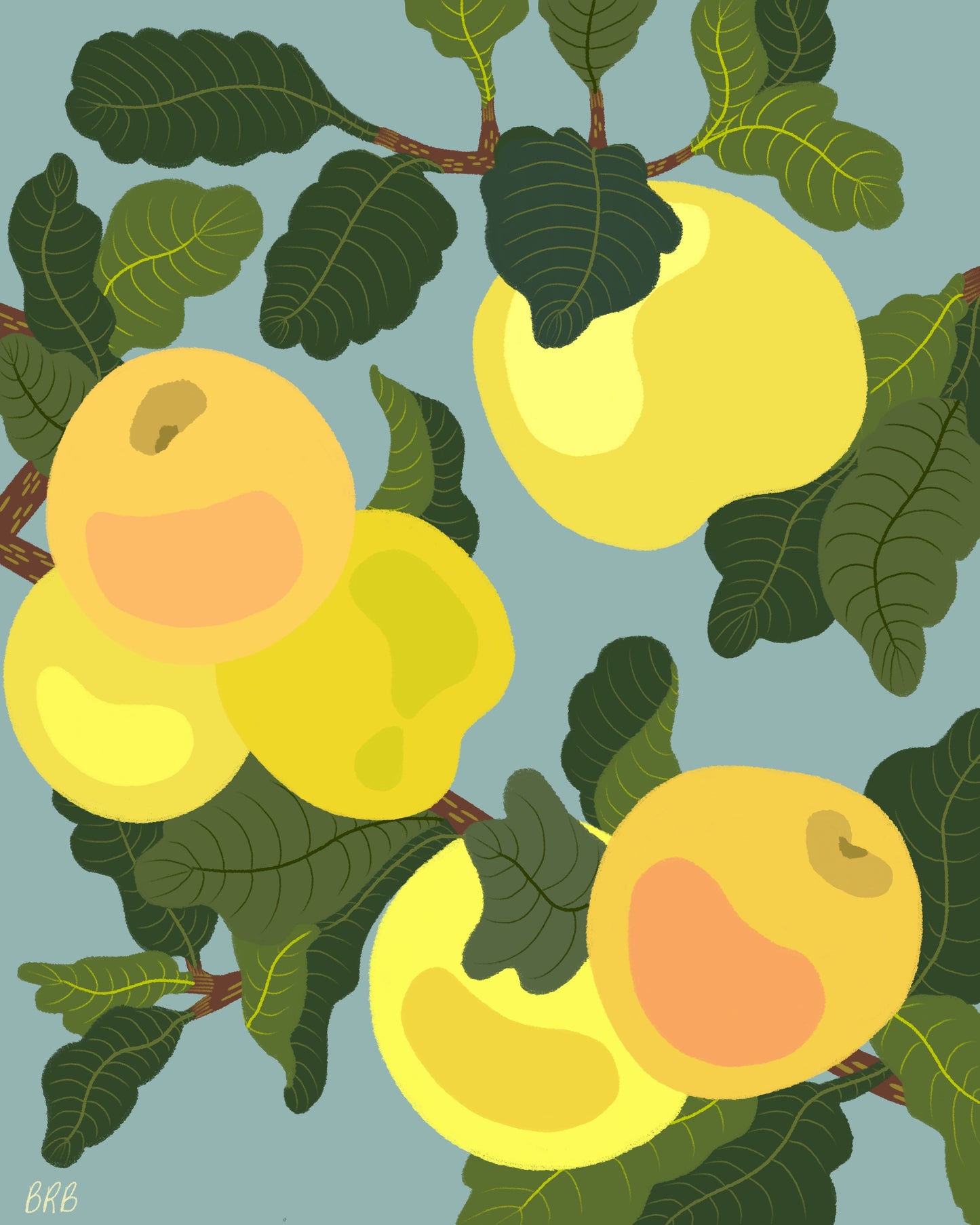 Yellow Apples Art Print